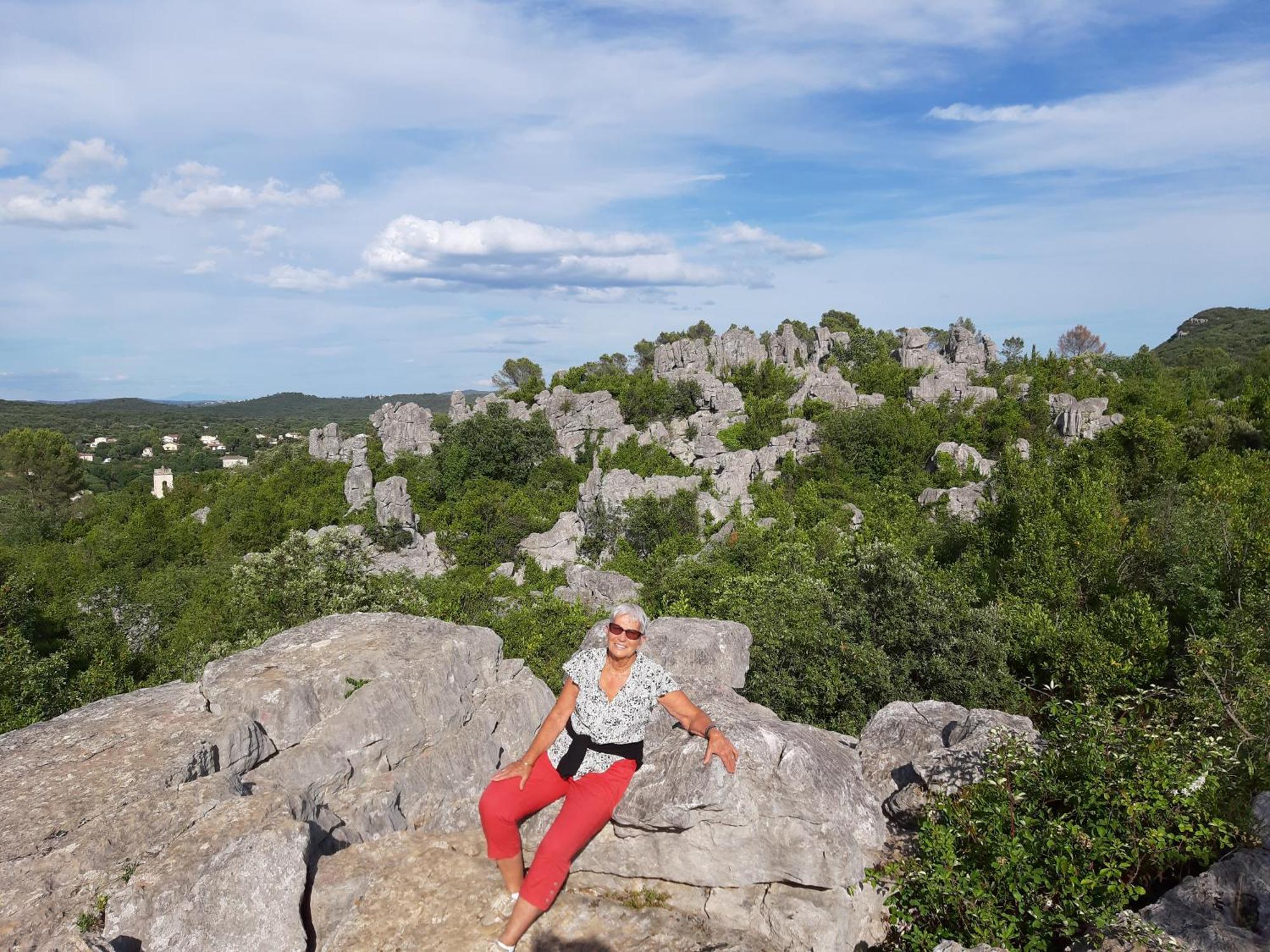 Bed and Breakfast Logis Des Magnans -Les Terrasses Du Coutach - Sauve Exterior foto